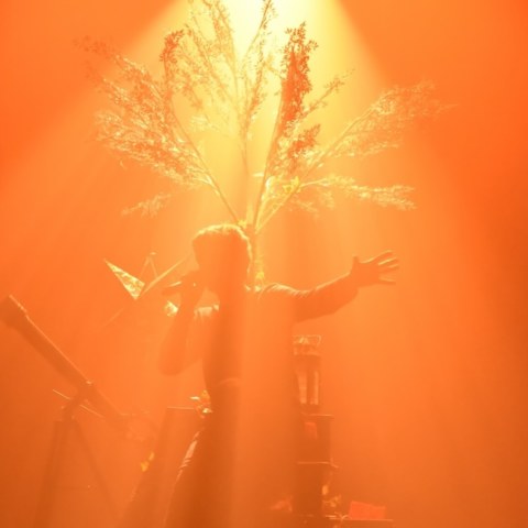 Image Not Found On Media Library