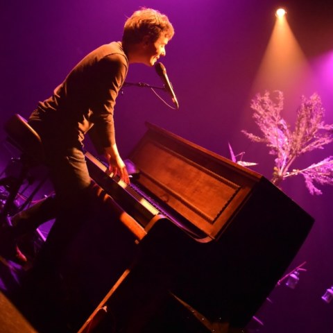 Image Not Found On Media Library